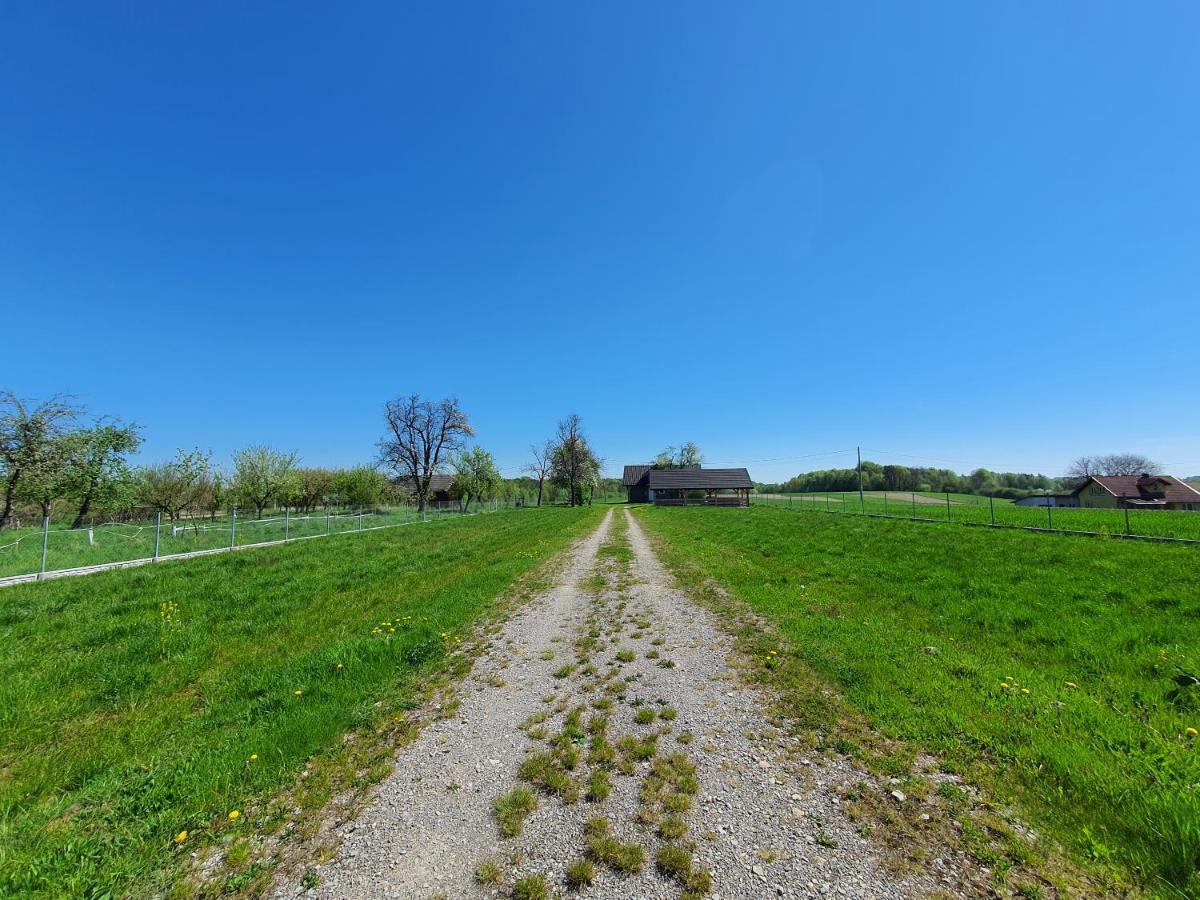 Zielone Zagrody - Stafieje Villa Grodzisko Dolne ภายนอก รูปภาพ